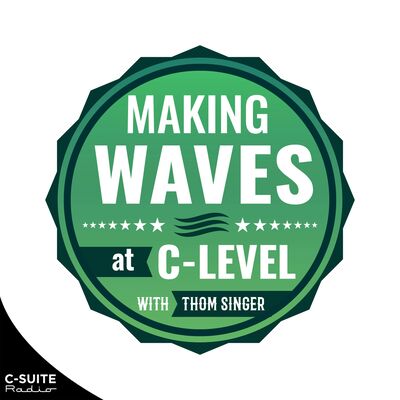Making Waves at C-Level: Business Tips for Executives, Leaders, and Entrepreneurs