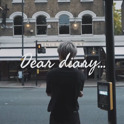 Dear diary...