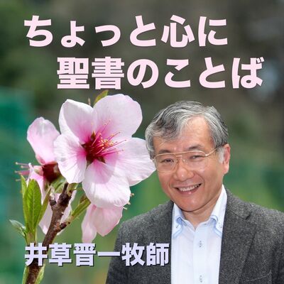 ちょっと心に聖書のことば
