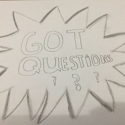 Questions Like This