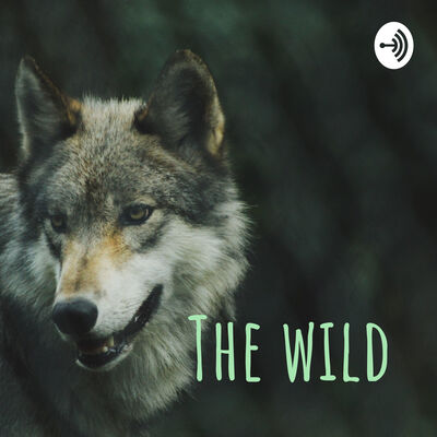 The wild