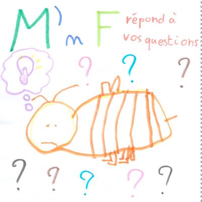 M'NF réponds à vos Questions