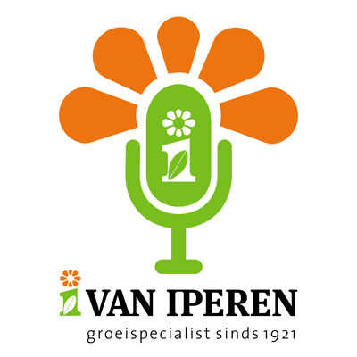 Groeispecialist