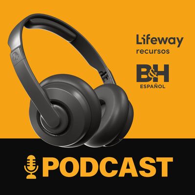 B&H Español