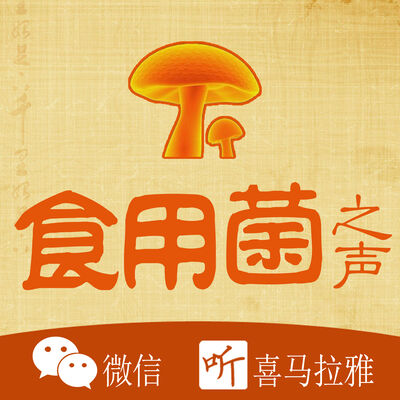 五行相生相克与人体五脏的关系