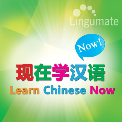 现在学汉语 Learn Chinese Now