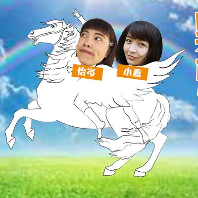小隻馬的異想世界