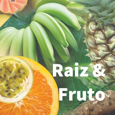 Raiz & Fruto