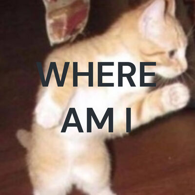 WHERE AM I