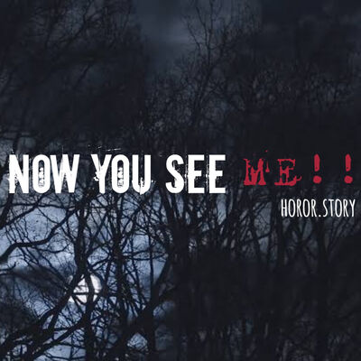 Now You See Me