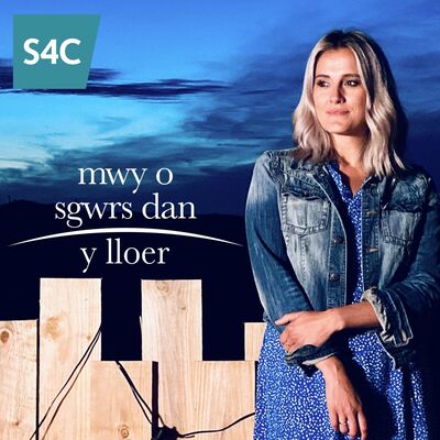 Mwy o Sgwrs Dan y Lloer
