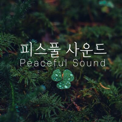 ASMR by 피스풀사운드