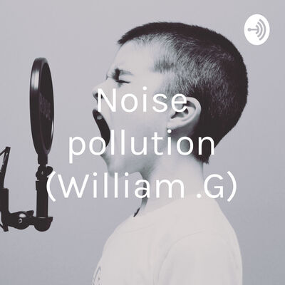 Noise pollution (William .G)