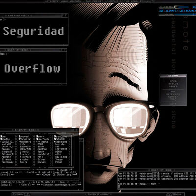 Seguridad Overflow