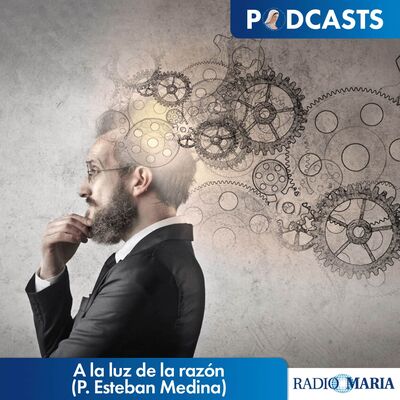 A la luz de la razón (P. Esteban Medina)