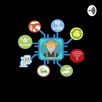 Project Farm Il podcast