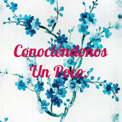 Conociéndonos Un Poco.