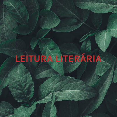 LEITURA LITERÁRIA - FÁBULA O GATO, O GALO E O RATINHO - ESOPO