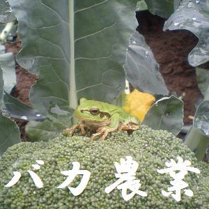 バカ農業