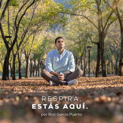 Respira, estás aquí.
