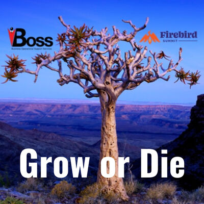 Grow or Die