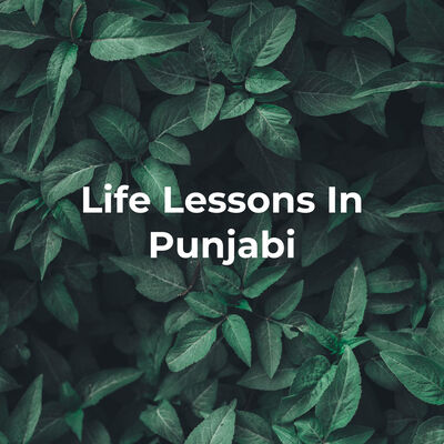 Life Lessons In Punjabi - From Great Books, Movies & History.
