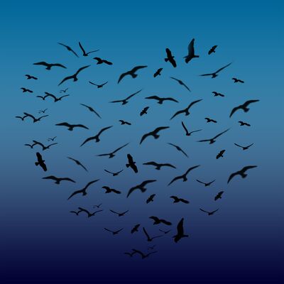 Swim or Sink Podcast