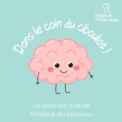 Dans le coin du ciboulot !