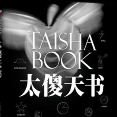 太傻天書