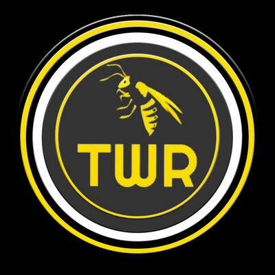 The Wasps Report