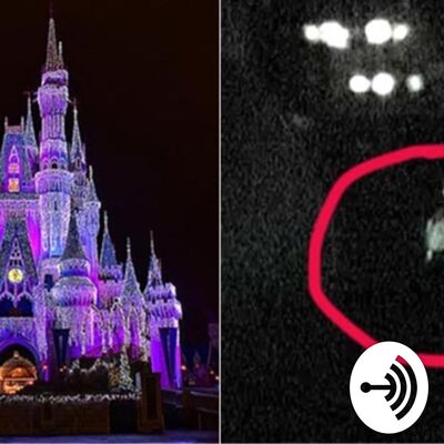 Disney parks Theories