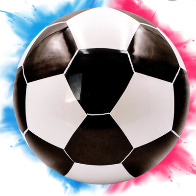 Sport News