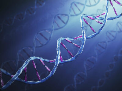 How I met your genes