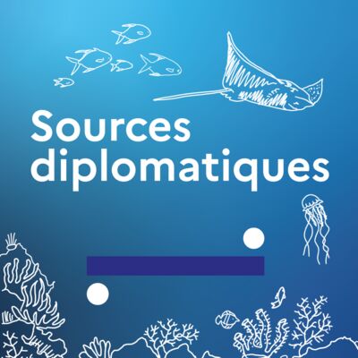 Sources diplomatiques