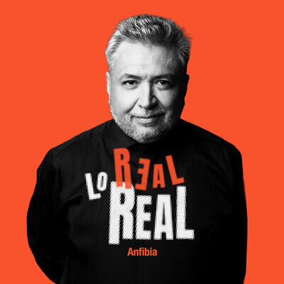 Anfibia Originales