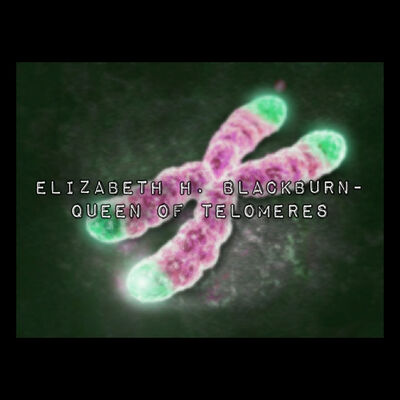 Elizabeth.H.Blackburn- Queen Of The Telomeres