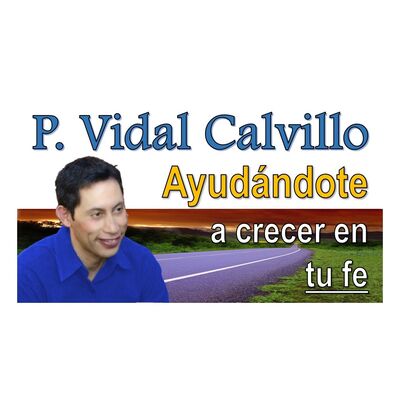 P. Vidal Calvillo