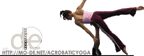 Motion Design's Acrobatic Yoga Tutorials