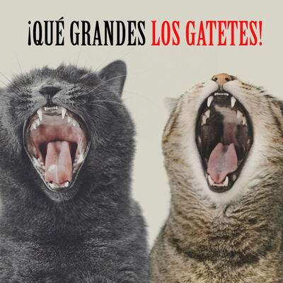 Qué Grandes
