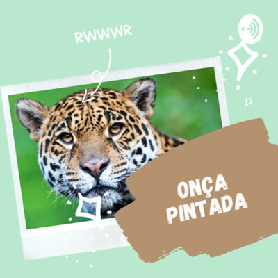 Animais