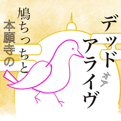 鳩ちっちと本願寺のDEAD OR ALIVE