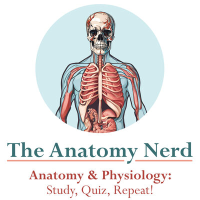 The Anatomy Nerd