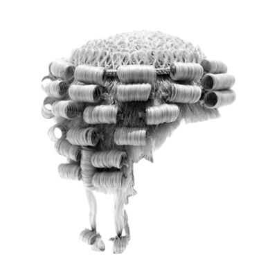 Why Do They Wear Wigs?