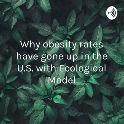 Why obesity rates have gone up in the U.S. with Ecological Model