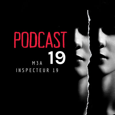 أنسبيكتور 19