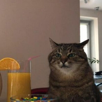 WHEN