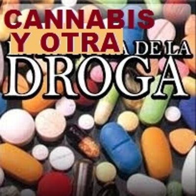 MARIHUANA CANNABIS Y OTRAS DROGAS