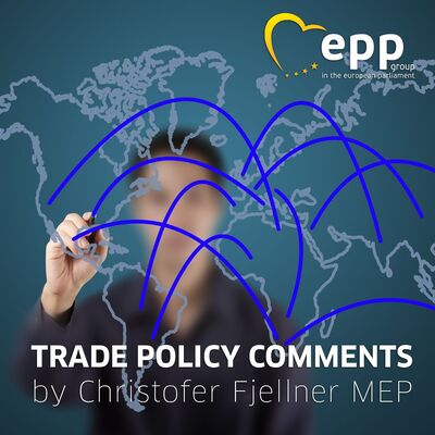 Trade Policy Comments with Christofer Fjellner MEP