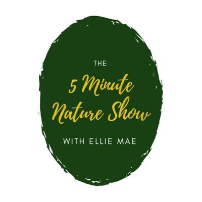 5 Minute Nature Show