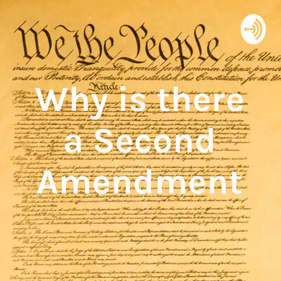 Why is there a Second Amendment